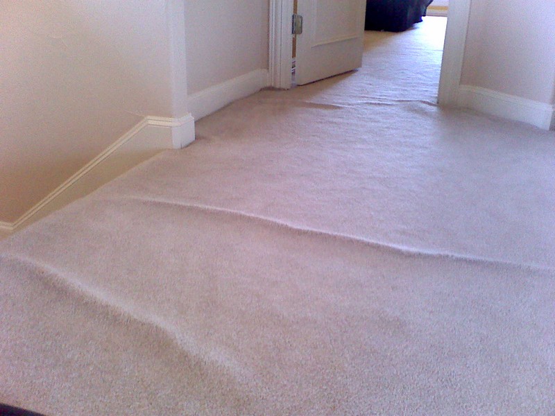 Why You Get Ripples & Waves In Your Carpets Fix My Carpets Now 630.